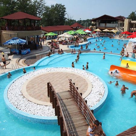 Andjelka A26 Apartamento Veliko Gradište Exterior foto