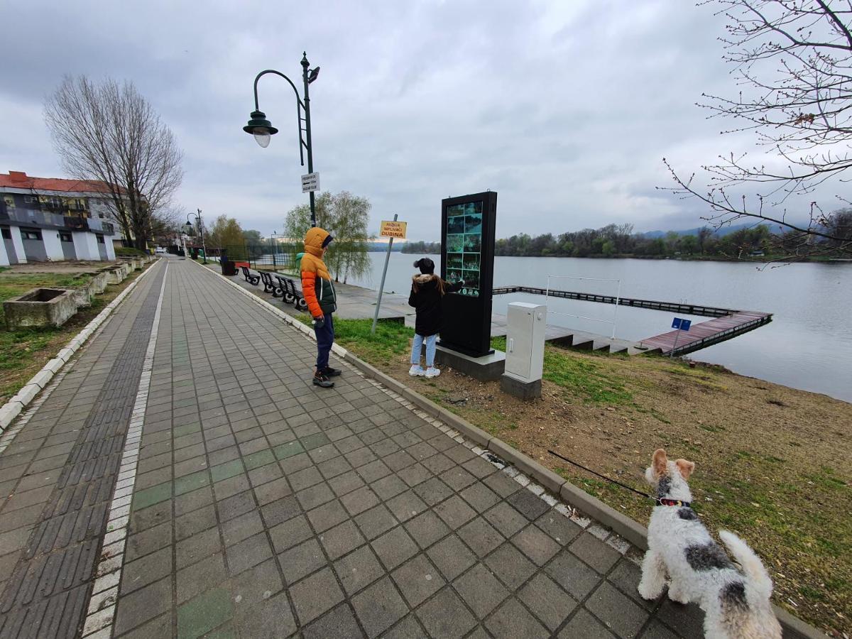 Andjelka A26 Apartamento Veliko Gradište Exterior foto